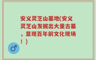 安义灵芝山墓地(安义灵芝山发掘出大量古墓，显现百年前文化现场！)