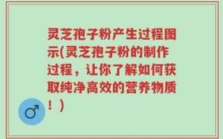 灵芝孢子粉产生过程图示(灵芝孢子粉的制作过程，让你了解如何获取纯净高效的营养物质！)