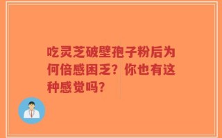 吃灵芝破壁孢子粉后为何倍感困乏？你也有这种感觉吗？