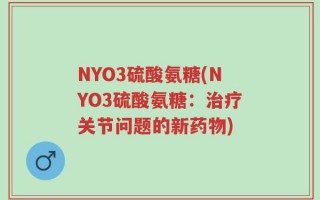 NYO3硫酸氨糖(NYO3硫酸氨糖：治疗关节问题的新药物)