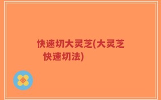 快速切大灵芝(大灵芝  快速切法)