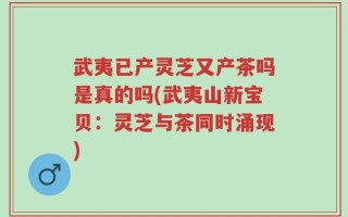 武夷已产灵芝又产茶吗是真的吗(武夷山新宝贝：灵芝与茶同时涌现)