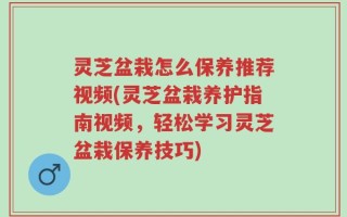 灵芝盆栽怎么保养推荐视频(灵芝盆栽养护指南视频，轻松学习灵芝盆栽保养技巧)