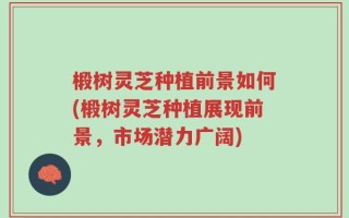 椴树灵芝种植前景如何(椴树灵芝种植展现前景，市场潜力广阔)