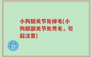 小狗腿关节处掉毛(小狗腿部关节处秃毛，引起注意)