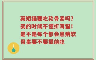 英短猫要吃软骨素吗？买的时候不懂折耳猫！是不是每个都会患病软骨素要不要提前吃