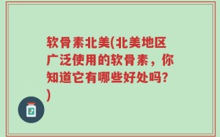 软骨素北美(北美地区广泛使用的软骨素，你知道它有哪些好处吗？)