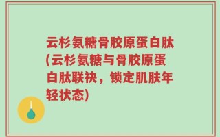 云杉氨糖骨胶原蛋白肽(云杉氨糖与骨胶原蛋白肽联袂，锁定肌肤年轻状态)