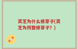 灵芝为什么修芽子(灵芝为何整修芽子？)