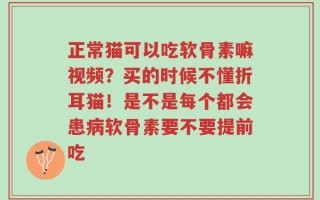 正常猫可以吃软骨素嘛视频？买的时候不懂折耳猫！是不是每个都会患病软骨素要不要提前吃