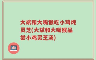 大斌和大嘴猴吃小鸡炖灵芝(大斌和大嘴猴品尝小鸡灵芝汤)
