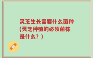 灵芝生长需要什么菌种(灵芝种植的必须菌株是什么？)