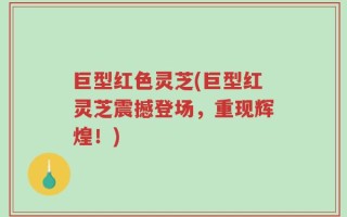 巨型红色灵芝(巨型红灵芝震撼登场，重现辉煌！)