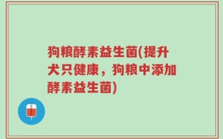 狗粮酵素益生菌(提升犬只健康，狗粮中添加酵素益生菌)