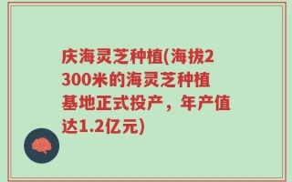 庆海灵芝种植(海拔2300米的海灵芝种植基地正式投产，年产值达1.2亿元)