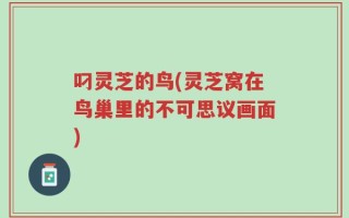 叼灵芝的鸟(灵芝窝在鸟巢里的不可思议画面)