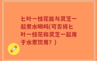 匕叶一枝花能与灵芝一起煮水喝吗(可否将匕叶一枝花和灵芝一起用于水煮饮用？)