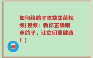如何给鸽子吃益生菌视频(视频：教你正确喂养鸽子，让它们更健康！)