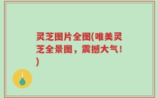 灵芝图片全图(唯美灵芝全景图，震撼大气！)