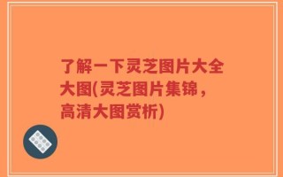 了解一下灵芝图片大全大图(灵芝图片集锦，高清大图赏析)