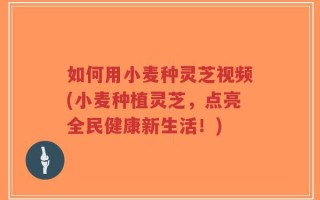 如何用小麦种灵芝视频(小麦种植灵芝，点亮全民健康新生活！)