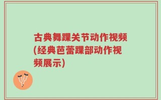 古典舞踝关节动作视频(经典芭蕾踝部动作视频展示)