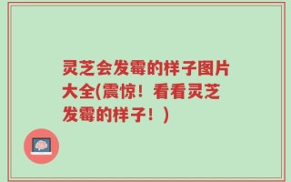 灵芝会发霉的样子图片大全(震惊！看看灵芝发霉的样子！)