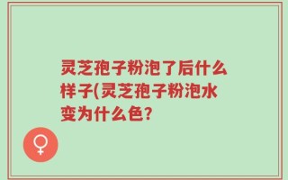 灵芝孢子粉泡了后什么样子(灵芝孢子粉泡水变为什么色？