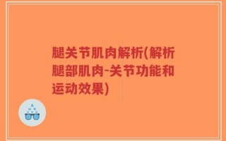 腿关节肌肉解析(解析腿部肌肉-关节功能和运动效果)