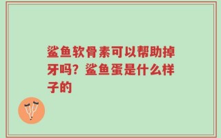 鲨鱼软骨素可以帮助掉牙吗？鲨鱼蛋是什么样子的