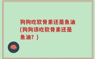 狗狗吃软骨素还是鱼油(狗狗该吃软骨素还是鱼油？)