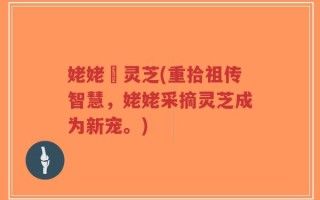 姥姥釆灵芝(重拾祖传智慧，姥姥采摘灵芝成为新宠。)