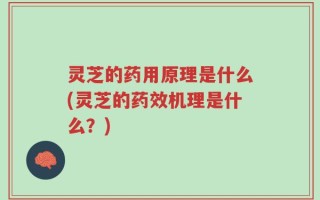 灵芝的药用原理是什么(灵芝的药效机理是什么？)