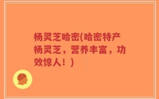 杨灵芝哈密(哈密特产杨灵芝，营养丰富，功效惊人！)