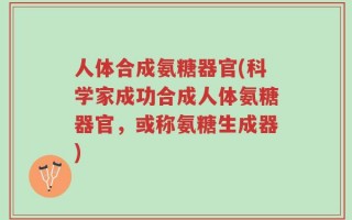 人体合成氨糖器官(科学家成功合成人体氨糖器官，或称氨糖生成器)