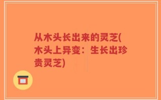 从木头长出来的灵芝(木头上异变：生长出珍贵灵芝)