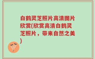 白鹤灵芝照片高清图片欣赏(欣赏高清白鹤灵芝照片，带来自然之美)