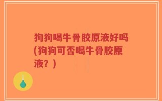 狗狗喝牛骨胶原液好吗(狗狗可否喝牛骨胶原液？)