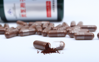 灵芝孢子粉有啥功效？增强免疫力的效果怎么样？