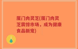 厦门肉灵芝(厦门肉灵芝震惊市场，成为健康食品新宠)
