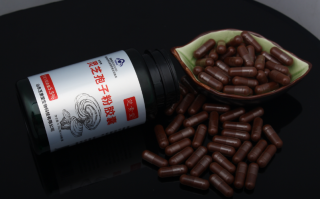 灵芝孢子粉多少钱？灵芝孢子粉价位怎么看？