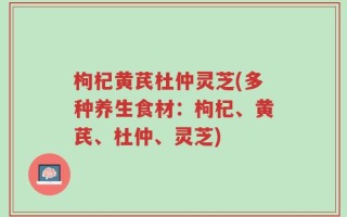 枸杞黄芪杜仲灵芝(多种养生食材：枸杞、黄芪、杜仲、灵芝)