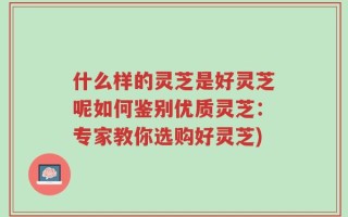 什么样的灵芝是好灵芝呢如何鉴别优质灵芝：专家教你选购好灵芝)