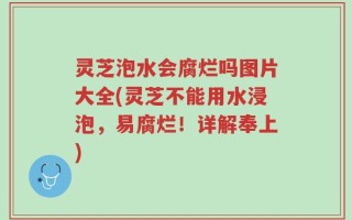 灵芝泡水会腐烂吗图片大全(灵芝不能用水浸泡，易腐烂！详解奉上)