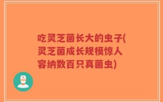 吃灵芝菌长大的虫子(灵芝菌成长规模惊人 容纳数百只真菌虫)