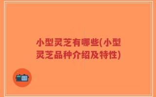 小型灵芝有哪些(小型灵芝品种介绍及特性)