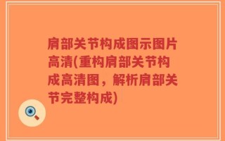 肩部关节构成图示图片高清(重构肩部关节构成高清图，解析肩部关节完整构成)
