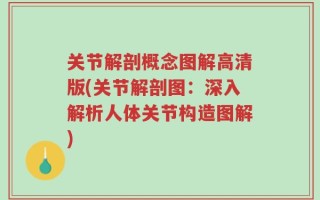 关节解剖概念图解高清版(关节解剖图：深入解析人体关节构造图解)