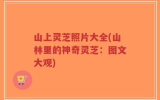 山上灵芝照片大全(山林里的神奇灵芝：图文大观)