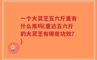 一个大灵芝五六斤重有什么用吗(重达五六斤的大灵芝有哪些功效？)